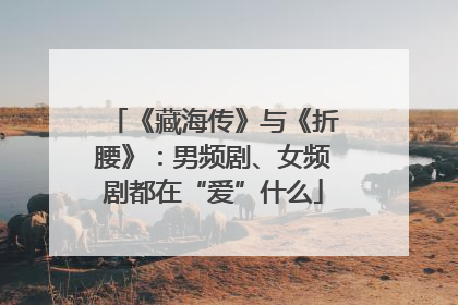 《藏海传》与《折腰》：男频剧、女频剧都在“爱”什么