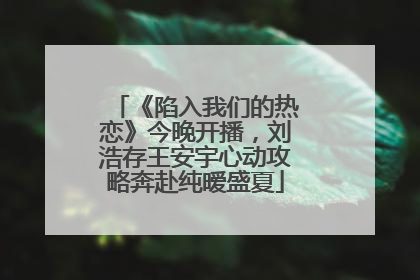 《陷入我们的热恋》今晚开播，刘浩存王安宇心动攻略奔赴纯暧盛夏