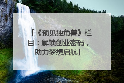 《预见独角兽》栏目：解锁创业密码，助力梦想启航