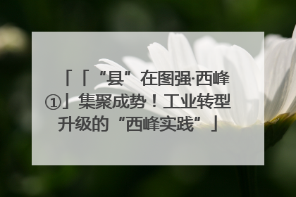 「“县”在图强·西峰①」集聚成势！工业转型升级的“西峰实践”