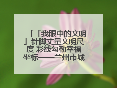 「我眼中的文明」针脚丈量文明尺度 彩线勾勒幸福坐标——兰州市城关区酒泉路街道办事处