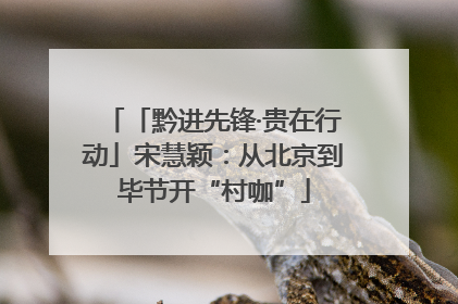「黔进先锋·贵在行动」宋慧颖：从北京到毕节开“村咖”