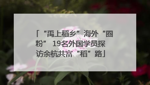 “禹上稻乡”海外“圈粉” 19名外国学员探访余杭共富“稻”路
