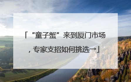 “童子蟹”来到厦门市场，专家支招如何挑选→