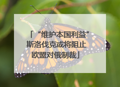 “维护本国利益” 斯洛伐克或将阻止欧盟对俄制裁