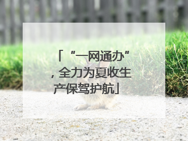 “一网通办”，全力为夏收生产保驾护航