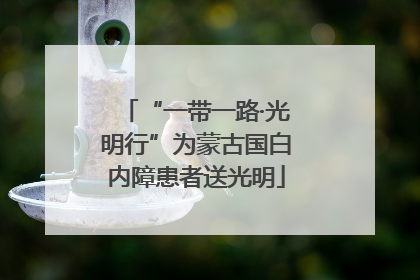 “一带一路·光明行”为蒙古国白内障患者送光明