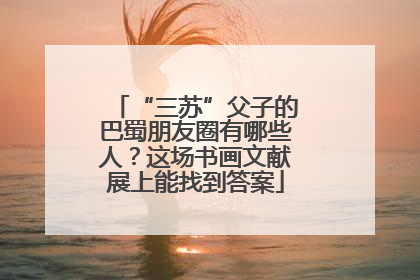 “三苏”父子的巴蜀朋友圈有哪些人？这场书画文献展上能找到答案