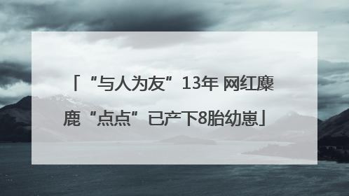 “与人为友”13年 网红麋鹿“点点”已产下8胎幼崽