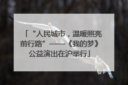 “人民城市，温暖照亮前行路”——《我的梦》公益演出在沪举行