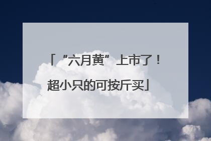 “六月黄”上市了！超小只的可按斤买