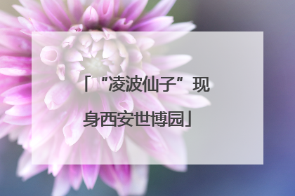 “凌波仙子”现身西安世博园