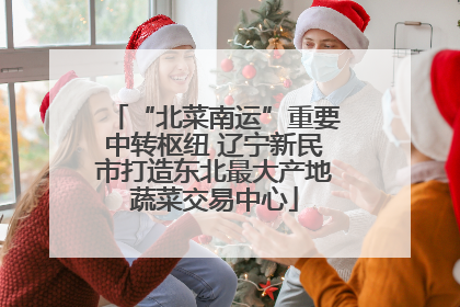 “北菜南运”重要中转枢纽 辽宁新民市打造东北最大产地蔬菜交易中心