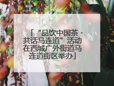 “品饮中国茶・共话马连道”活动在西城广外街道马连道街区举办