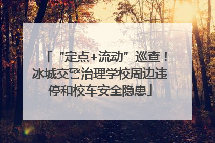 “定点+流动”巡查！冰城交警治理学校周边违停和校车安全隐患
