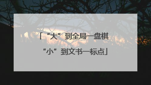 “大”到全局一盘棋 “小”到文书一标点