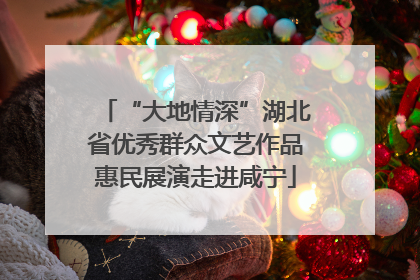 “大地情深”湖北省优秀群众文艺作品惠民展演走进咸宁