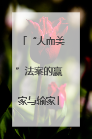 “大而美”法案的赢家与输家