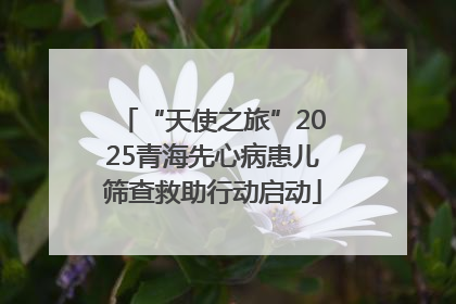“天使之旅”2025青海先心病患儿筛查救助行动启动