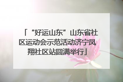 “好运山东”山东省社区运动会示范活动济宁凤翔社区站圆满举行