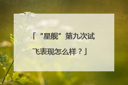 “星舰”第九次试飞表现怎么样？