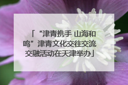 “津青携手 山海和鸣”津青文化交往交流交融活动在天津举办