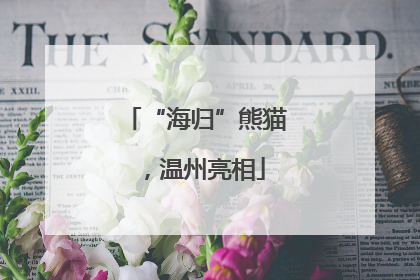 “海归”熊猫，温州亮相