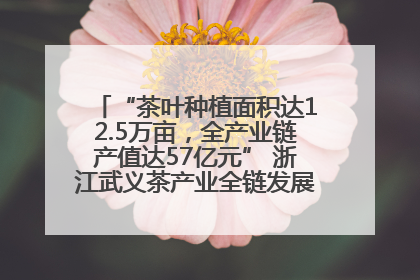 “茶叶种植面积达12.5万亩，全产业链产值达57亿元” 浙江武义茶产业全链发展“加速度”
