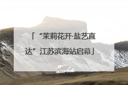 “茉莉花开·盐艺直达”江苏滨海站启幕