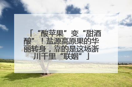 “酸苹果”变“甜酒酿”！盐源高原果的华丽转身，靠的是这场浙川千里“联姻”
