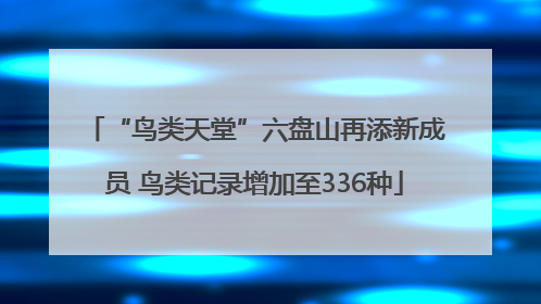 “鸟类天堂”六盘山再添新成员 鸟类记录增加至336种