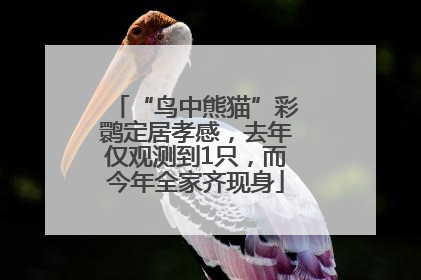 “鸟中熊猫”彩鹮定居孝感，去年仅观测到1只，而今年全家齐现身