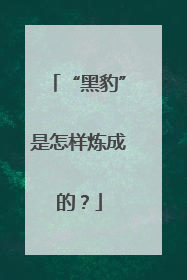 “黑豹”是怎样炼成的？