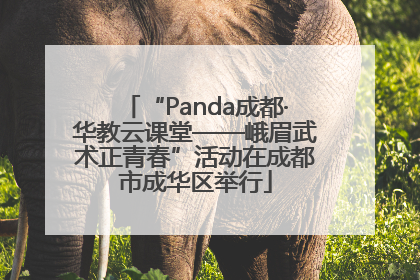 “Panda成都·华教云课堂——峨眉武术正青春”活动在成都市成华区举行