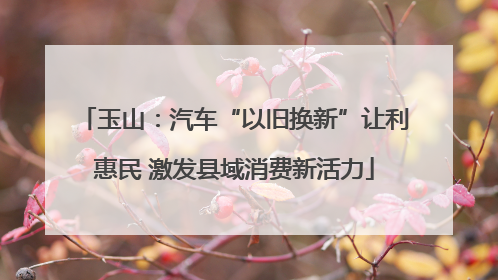 玉山：汽车“以旧换新”让利惠民 激发县域消费新活力
