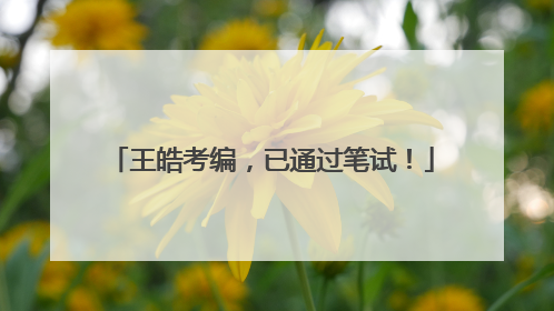 王皓考编，已通过笔试！