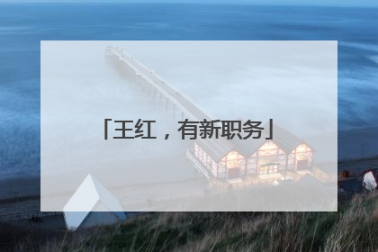 王红，有新职务