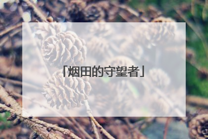 烟田的守望者