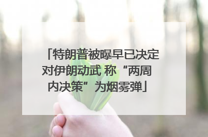 特朗普被曝早已决定对伊朗动武 称“两周内决策”为烟雾弹