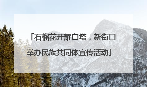 石榴花开耀白塔，新街口举办民族共同体宣传活动