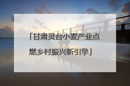 甘肃灵台小麦产业点燃乡村振兴新引擎