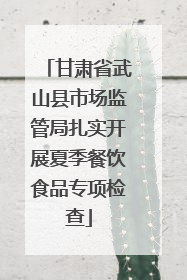 甘肃省武山县市场监管局扎实开展夏季餐饮食品专项检查