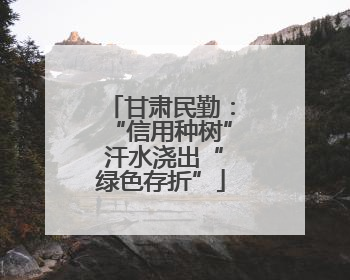 甘肃民勤：“信用种树” 汗水浇出“绿色存折”