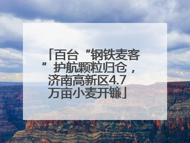 百台“钢铁麦客”护航颗粒归仓,济南高新区4.7万亩小麦开镰