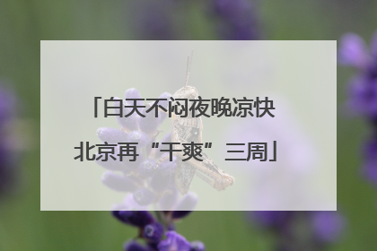 白天不闷夜晚凉快 北京再“干爽”三周
