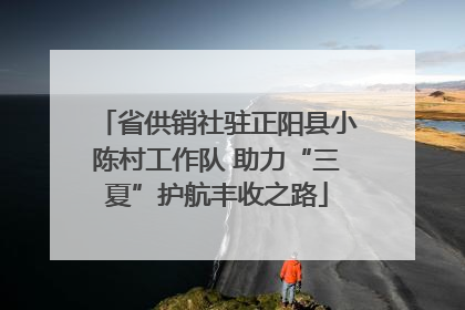 省供销社驻正阳县小陈村工作队 助力“三夏”护航丰收之路