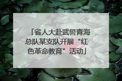 省人大赴武警青海总队某支队开展“红色革命教育”活动