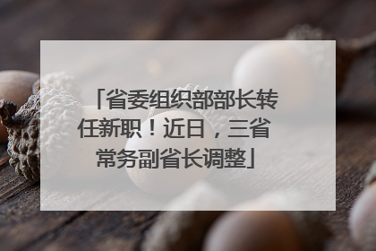 省委组织部部长转任新职！近日，三省常务副省长调整