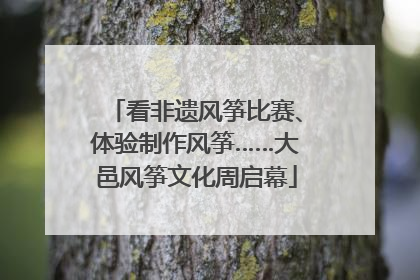 看非遗风筝比赛、体验制作风筝……大邑风筝文化周启幕
