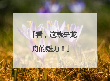 看，这就是龙舟的魅力！